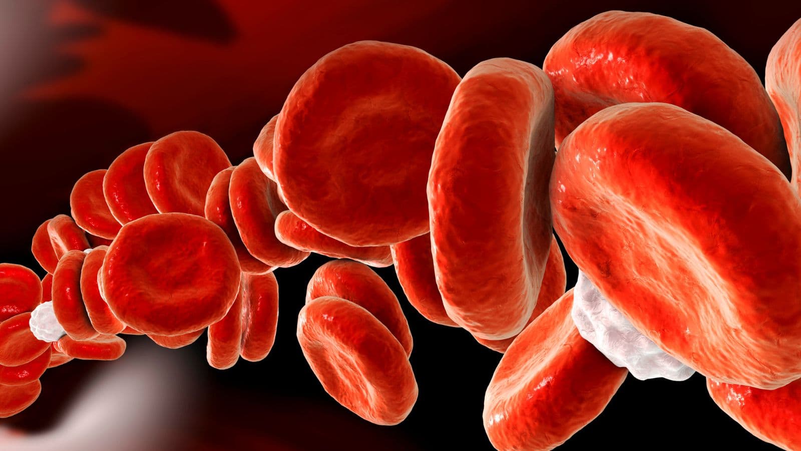 Hematology & Bone Marrow