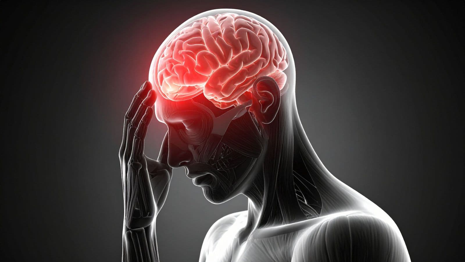 Neurology & Neurosurgery
